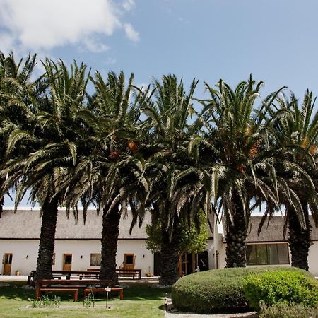 Springfontein Wine Estate Hotel Stanford Ngoại thất bức ảnh