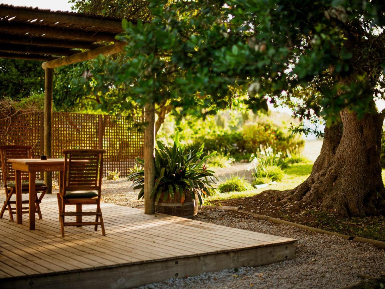 Springfontein Wine Estate Hotel Stanford Ngoại thất bức ảnh