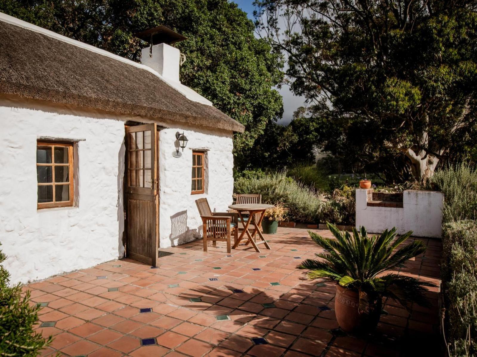 Springfontein Wine Estate Hotel Stanford Ngoại thất bức ảnh