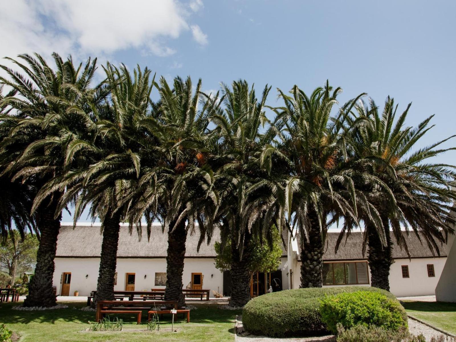 Springfontein Wine Estate Hotel Stanford Ngoại thất bức ảnh