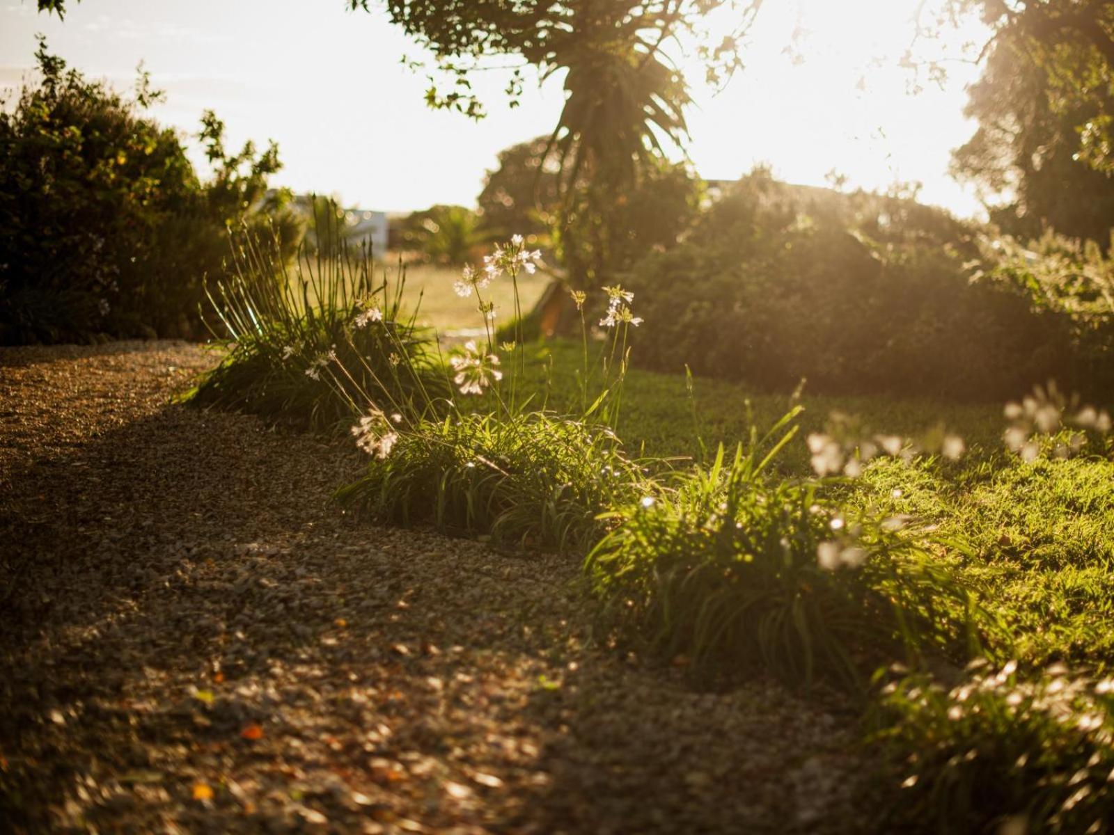 Springfontein Wine Estate Hotel Stanford Ngoại thất bức ảnh