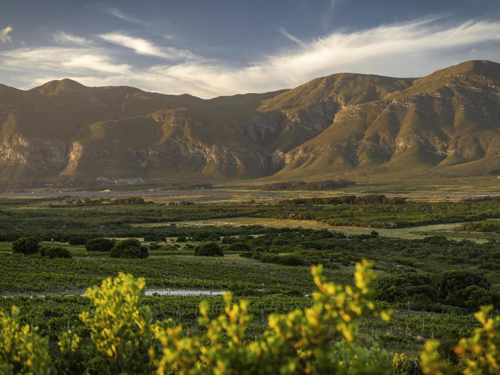 Springfontein Wine Estate Hotel Stanford Ngoại thất bức ảnh