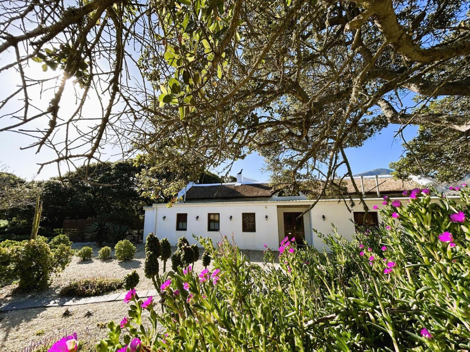 Springfontein Wine Estate Hotel Stanford Ngoại thất bức ảnh