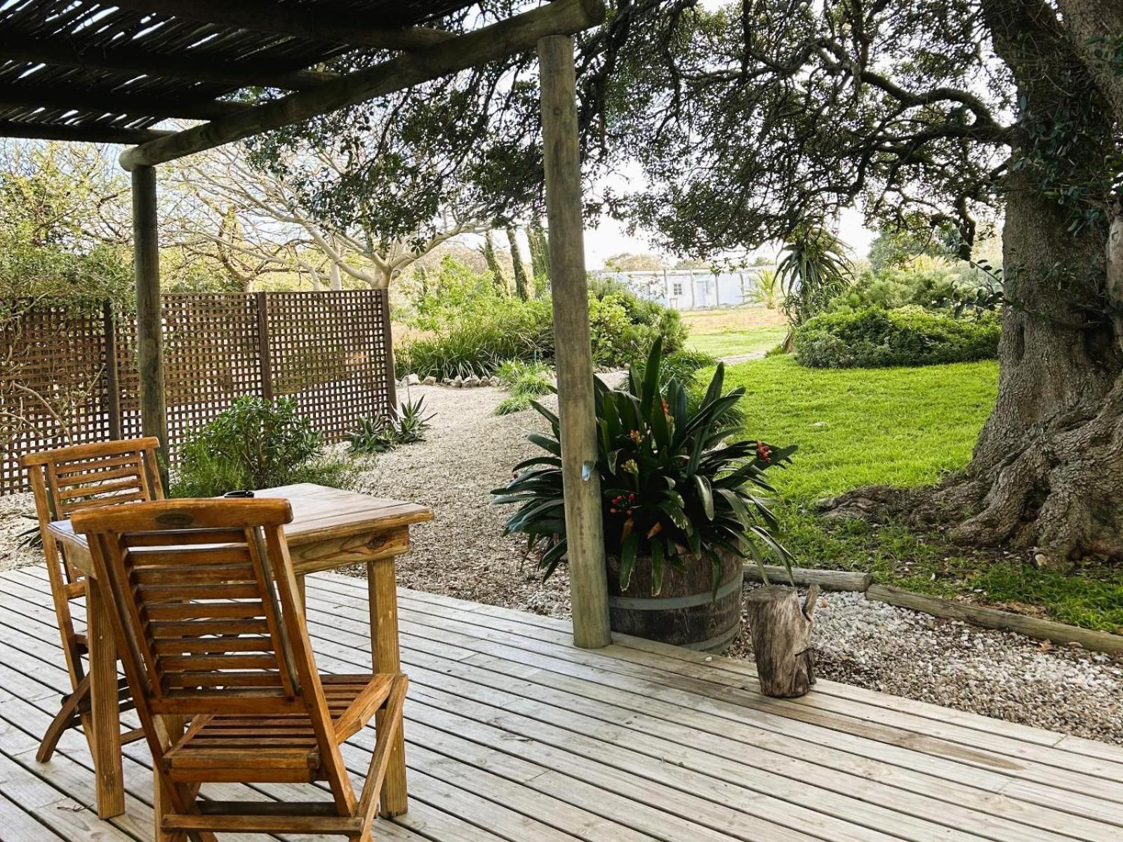 Springfontein Wine Estate Hotel Stanford Phòng bức ảnh